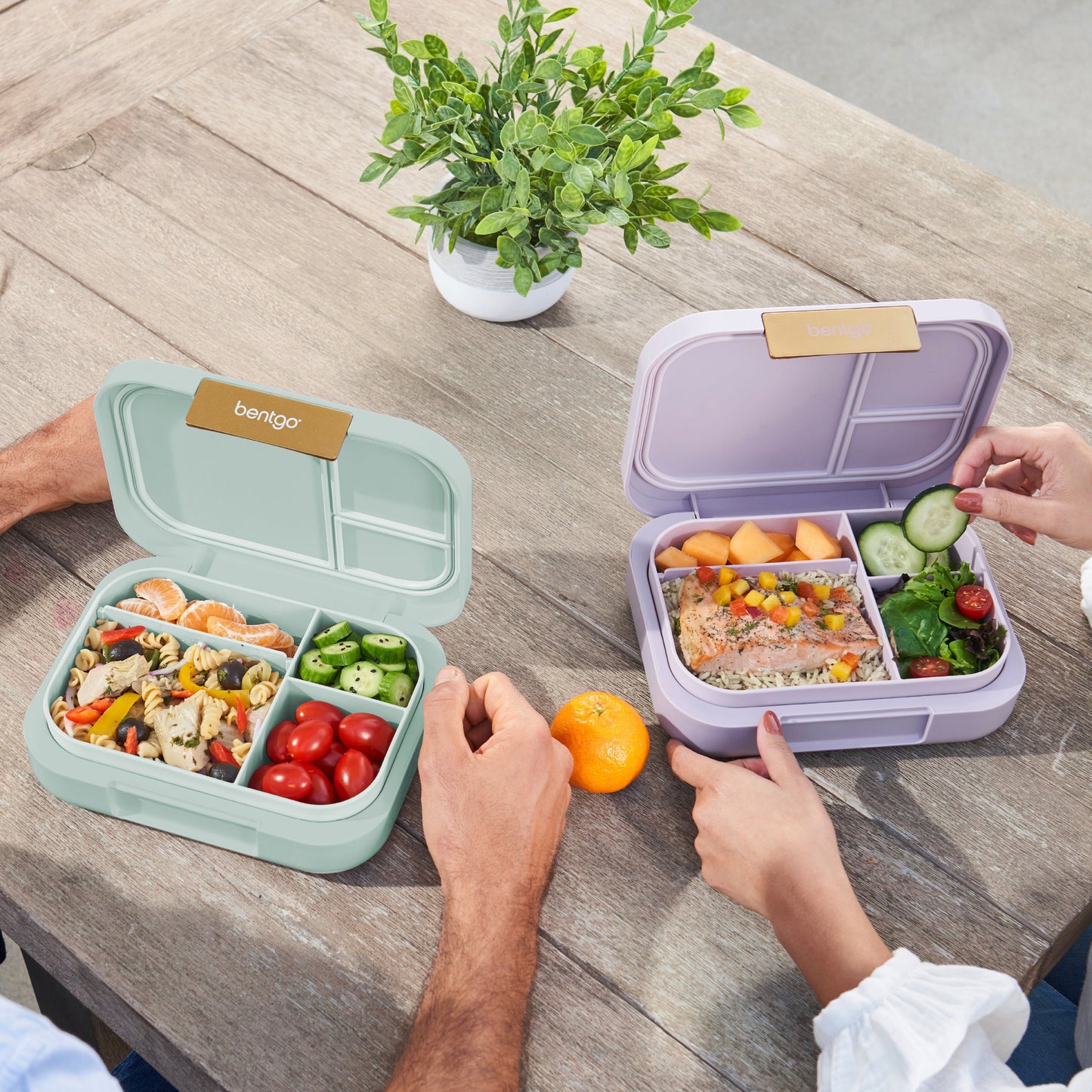 bentgo-modern-lunch-box-2-pack-j3 COSTCOBMCPRODUCTIMAGE_2.jpg